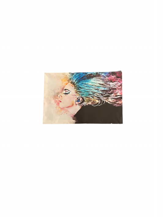 Lady Gaga Canvas Print Framed      18”x12”